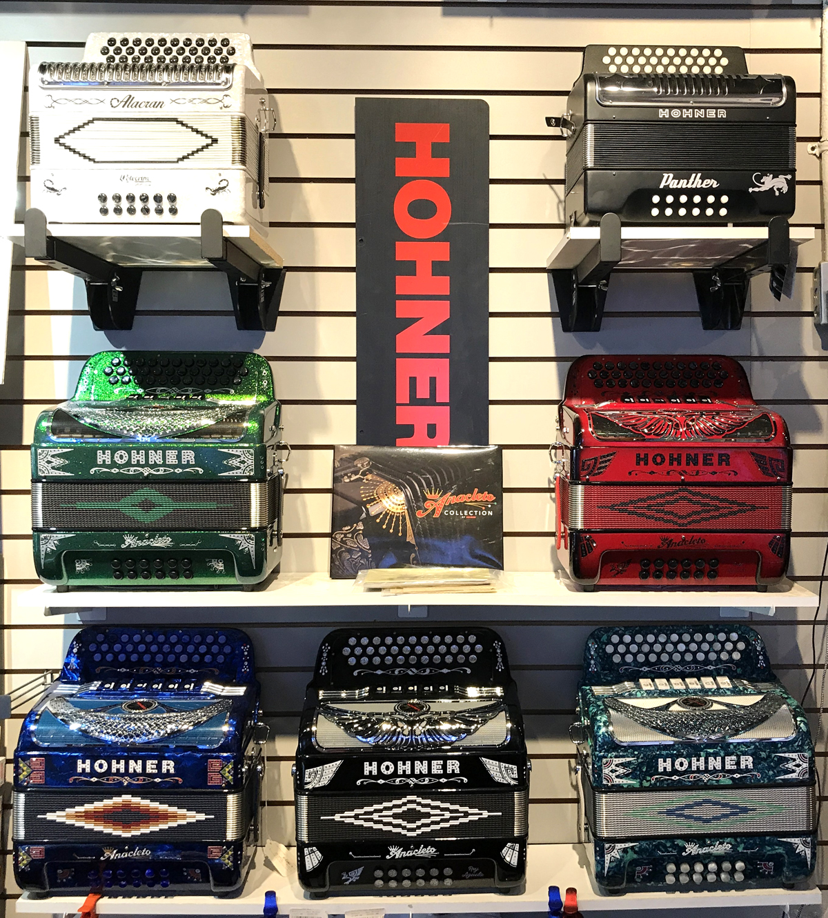 Hohner Anacleto and Panther Accordions | Chicago Music Store